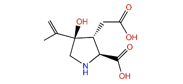 4-Hydroxykainic acid